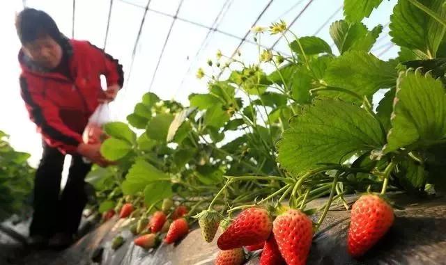 整頓大棚房成了一刀切的代名詞，斷水?dāng)嚯姶u瓦不留，拆成了荒蕪！