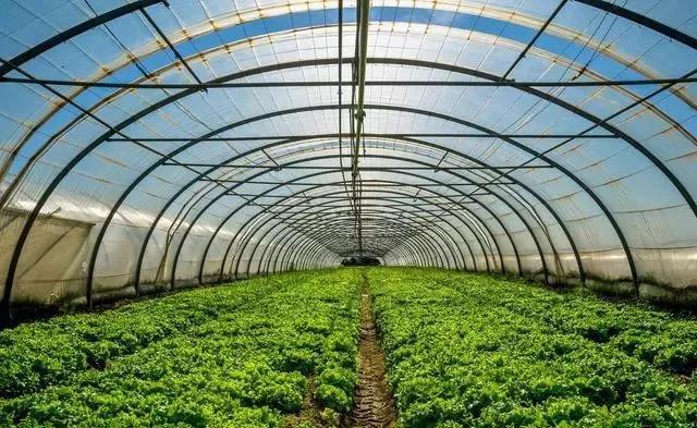 整頓大棚房成了一刀切的代名詞，斷水?dāng)嚯姶u瓦不留，拆成了荒蕪！