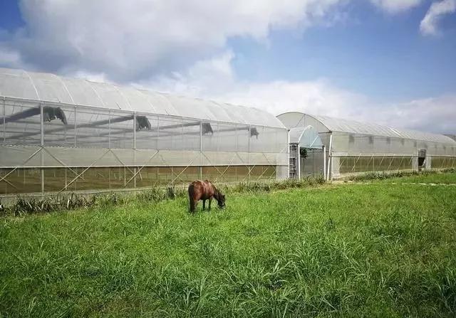 整頓大棚房成了一刀切的代名詞，斷水?dāng)嚯姶u瓦不留，拆成了荒蕪！